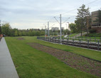 Post Construction (3)