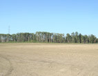 Post Construction (1)