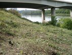 Pre-Construction (4)