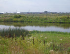 Post Construction (7)